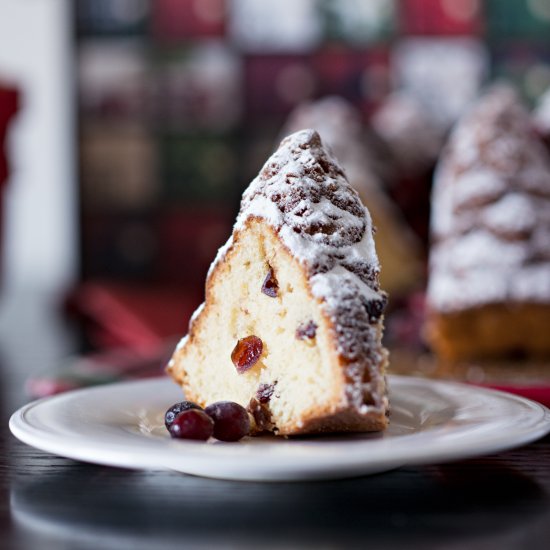 Cranberry Clementine Bundt Cake