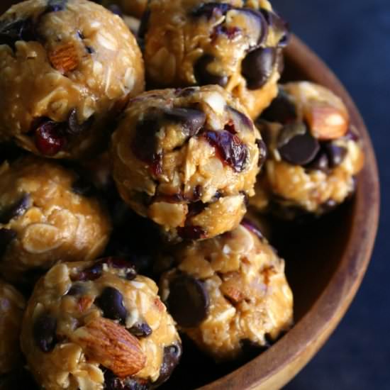 Chocolate Cranberry Balls