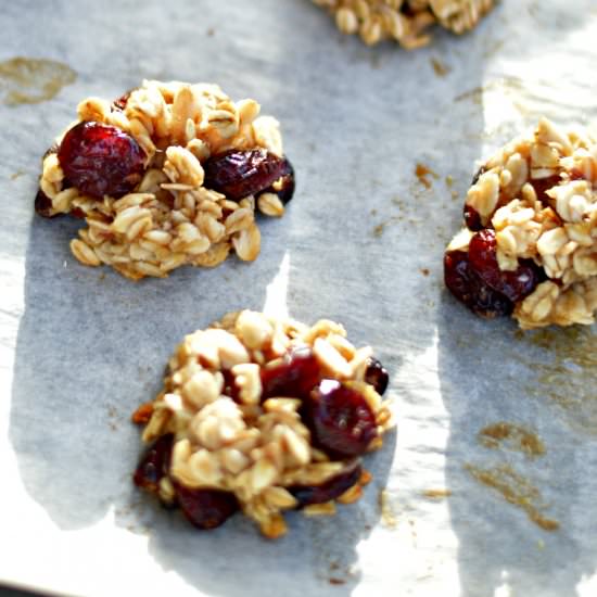 Cranberry Oatmeal Cookies