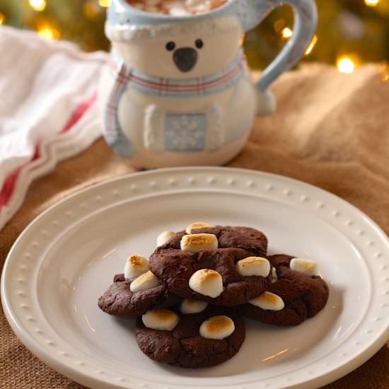 Vegan Hot Cocoa Crinkle Cookies