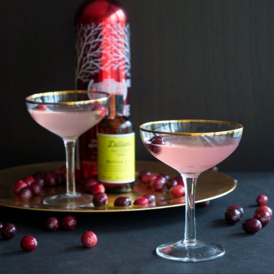 Fresh Cranberry Cosmo