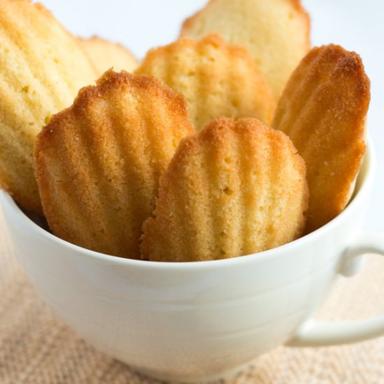 Authentic French Madeleines