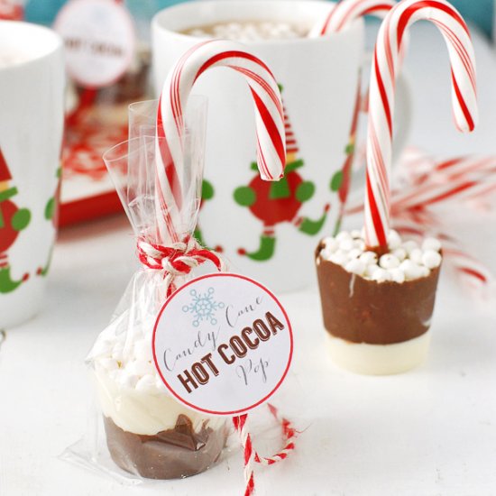 Candy Cane Hot Cocoa Pops