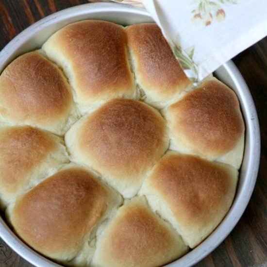 Soft Yeast Rolls