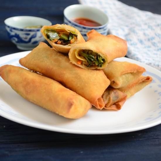 Vegetable Spring Roll