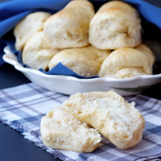 Whole Wheat Honey Parker House Roll