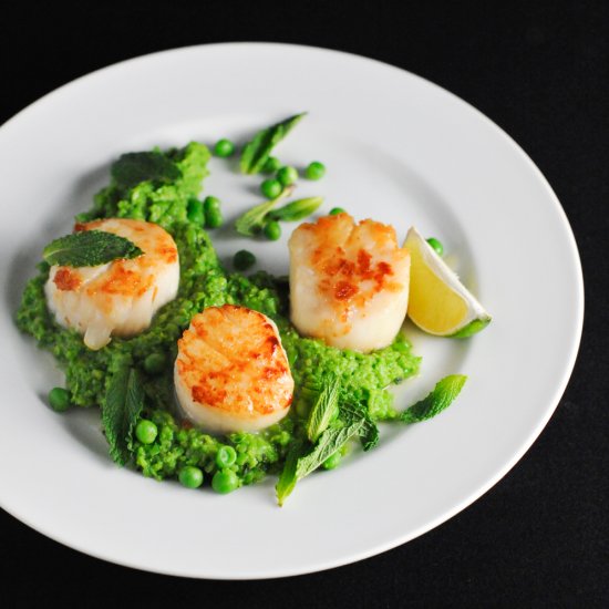 Scallops with Thai Scented Pea Mash