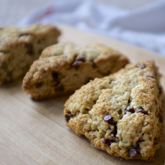 Gluten Free Chocolate Chip Scones