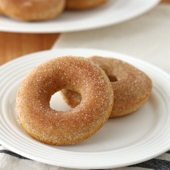 Baked Cinnamon Doughnuts