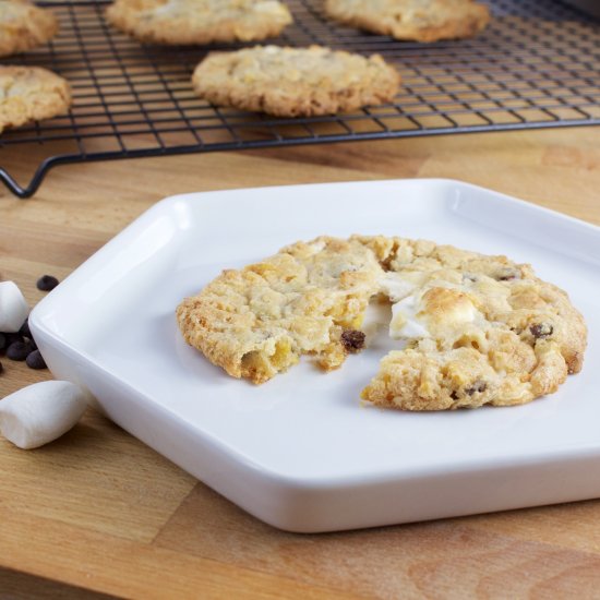 Chocolate Chip Marshmallow Cookies