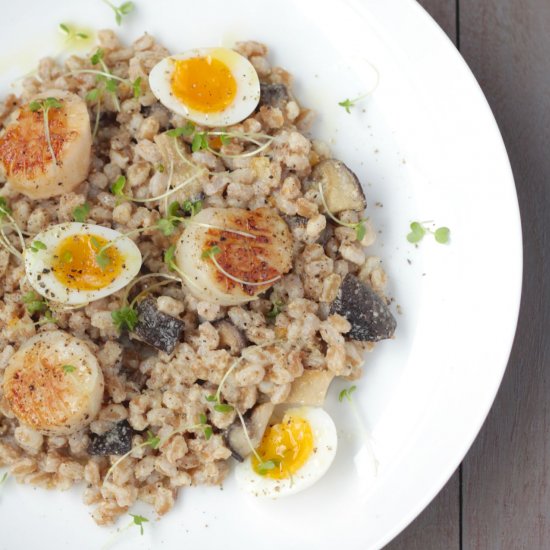 Scallops, Farro, Lemon-Tahini Sauce