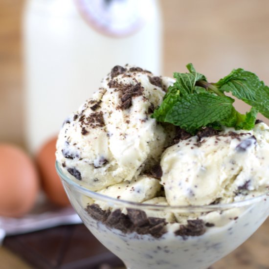 Fresh Mint Infused Ice Cream