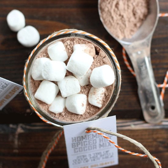 Homemade Spiced Hot Cocoa Mix