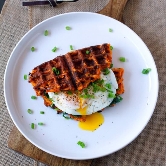 Savory Sweet Potato ‘Waffle’