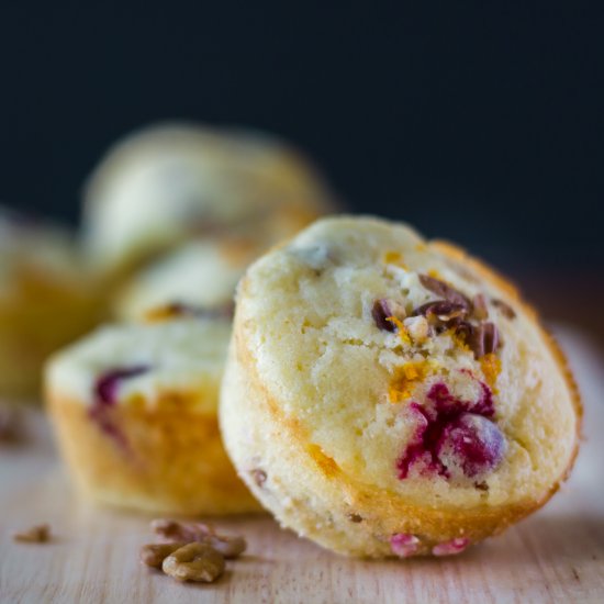 Cranberry Orange Pecan Muffins