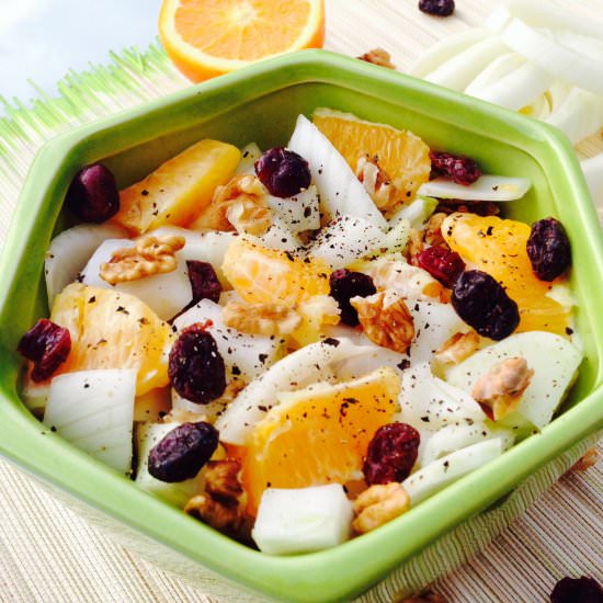 Fennel, orange, cranberries salad