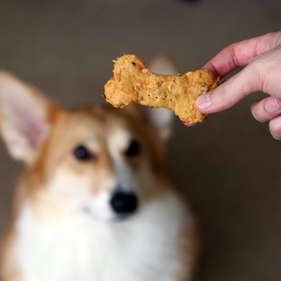 Homemade Dog Treats