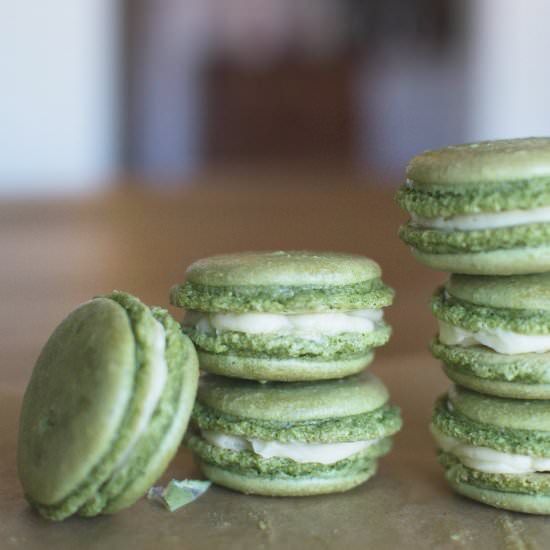 Matcha macarons