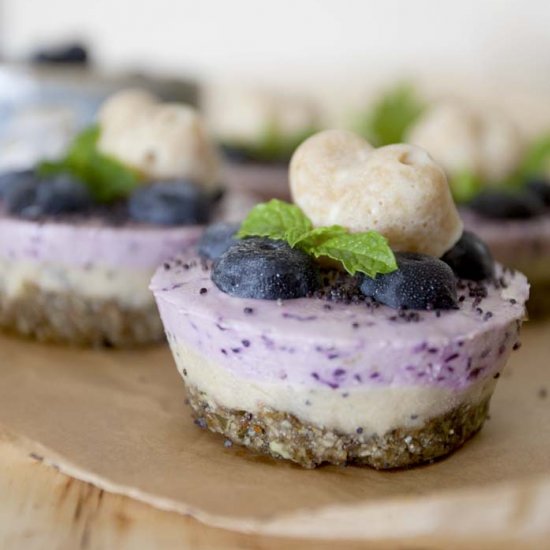 Raw blueberry lemon cheesecakes