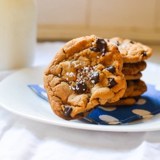 Cookie Butter Chocolate Chip Cookie