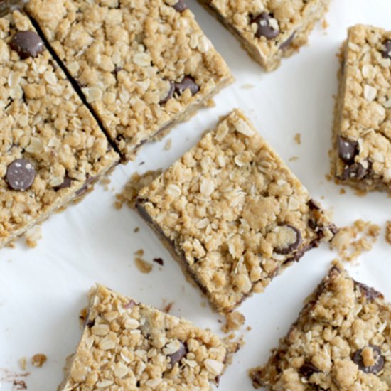 Dark Chocolate Chip Oatmeal Bars