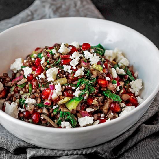 Lentil Salad with Pomegranates