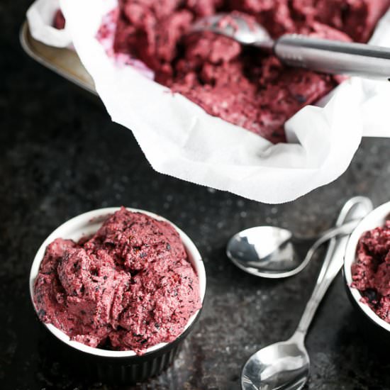 Instant Blueberry Frozen Yogurt