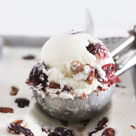 Cranberry Pecan Praline Ice Cream