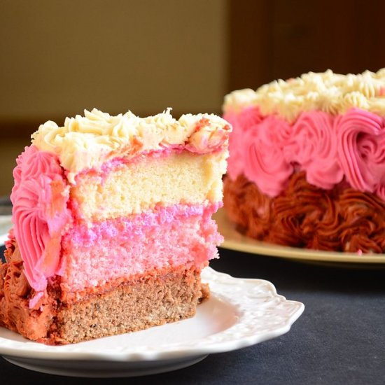 Neapolitan Cake