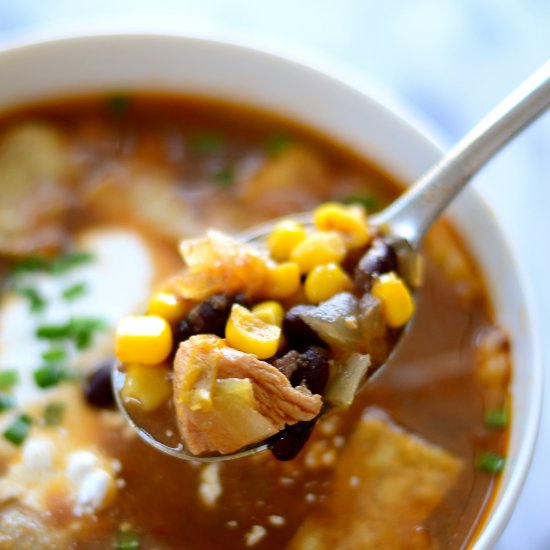 Healthy Iron Springs Tortilla Soup