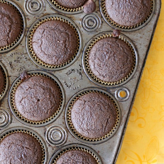 Chocolate Muffins