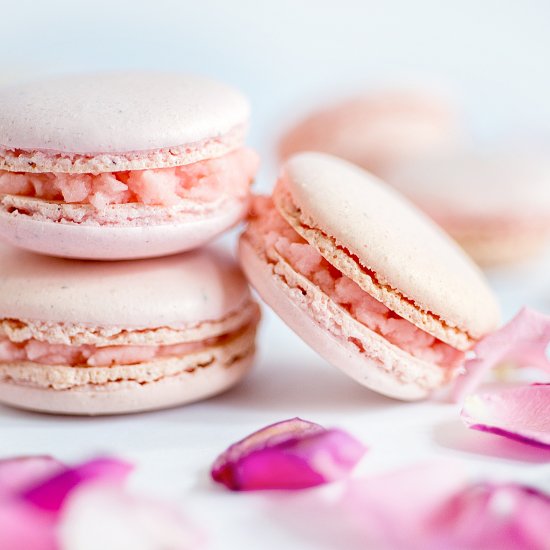 Rose Macarons