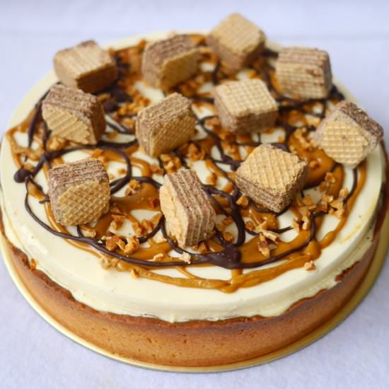 Speculoos Tofu Cheese Tart