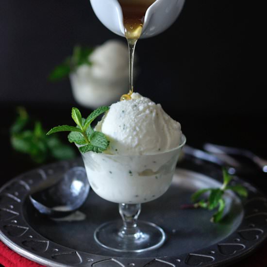 Salted Honey and Mint Frozen Yogurt