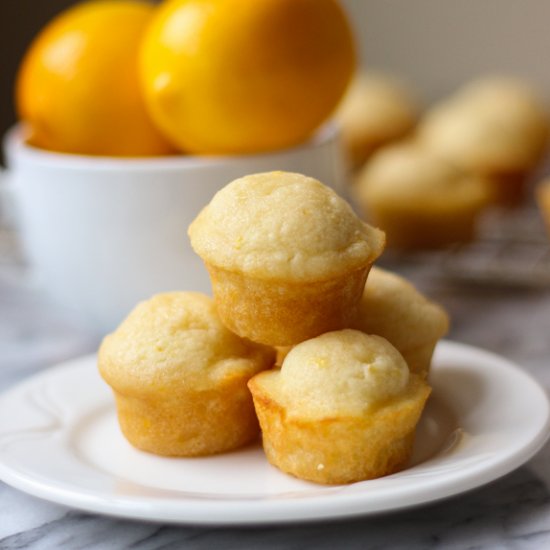 Meyer Lemon Mini Muffins