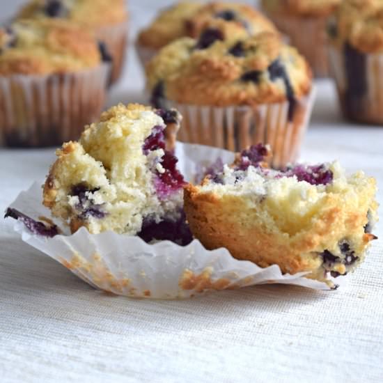 Greek Yogurt Blueberry Muffins