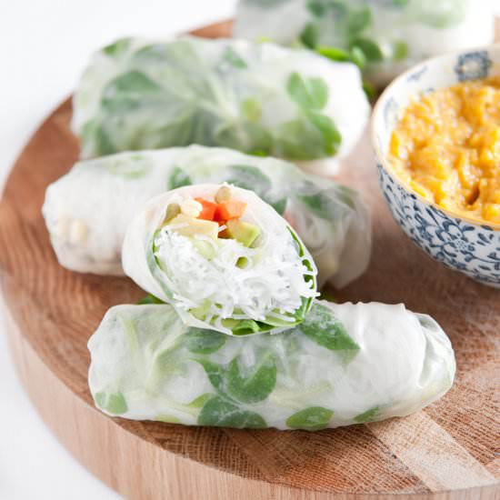 Spring rolls with mango chutney