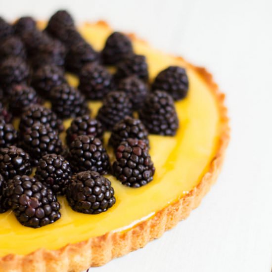 Blackberry Lime Tart