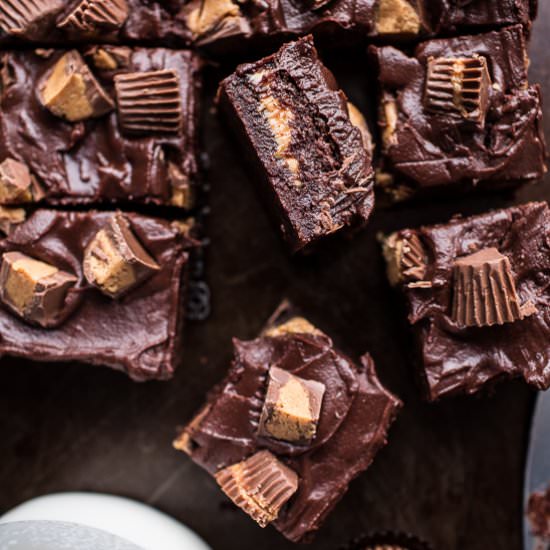 Peanut Butter Cup Fudge Brownies