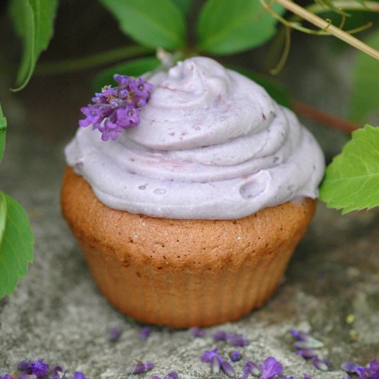 Lavender Muffins