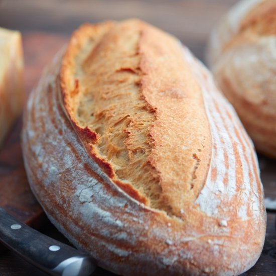 Homemade Sourdough Bread