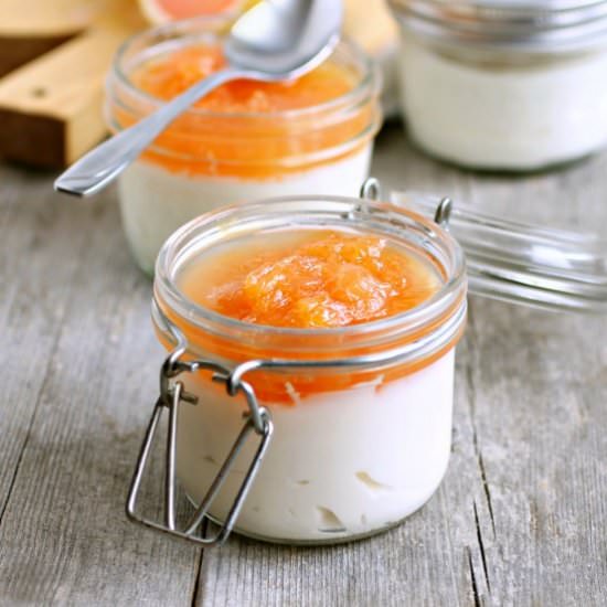 Greek Yogurt Grapefruit Panna Cotta