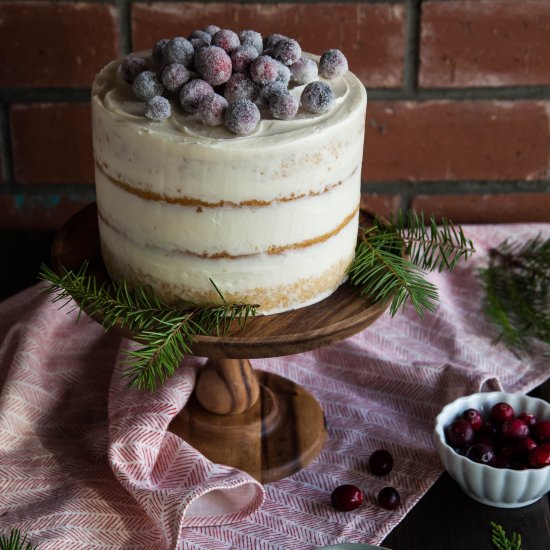 Sparkling Cranberry Cake