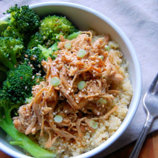 Crockpot Honey Soy Chicken