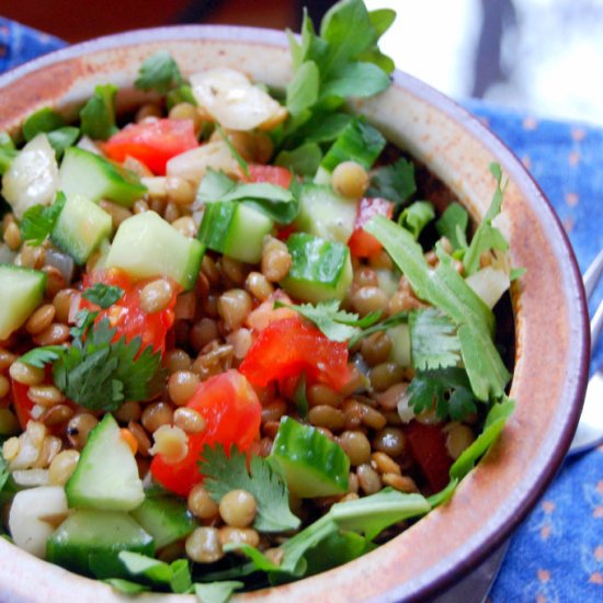 Simple Warm Lentil Salad