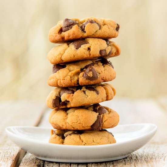 Chocolate Chip Cashew Cookies