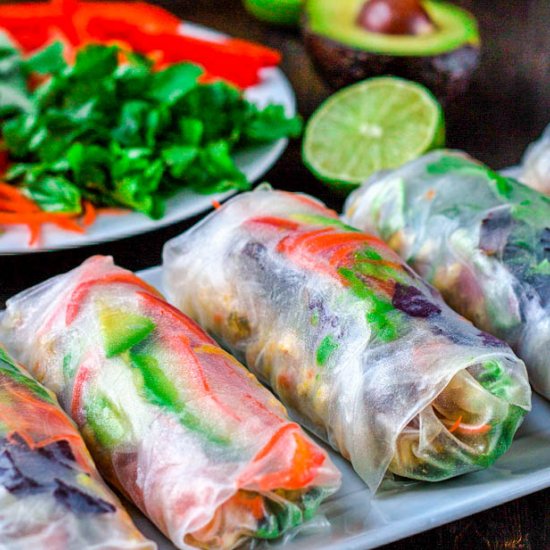 Chicken and Vegetable Salad Rolls