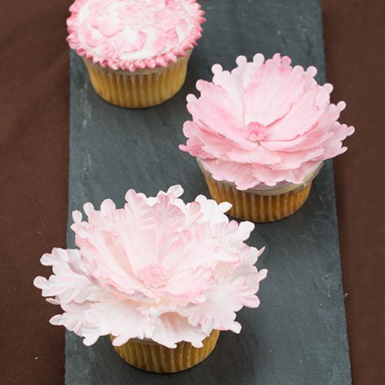 Peony Cupcake Fun