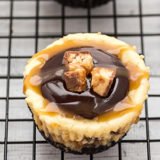 Mini Snickers Cheesecakes