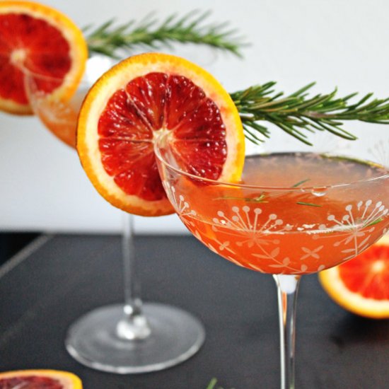 Blood Orange Rosemary Gin Cocktail